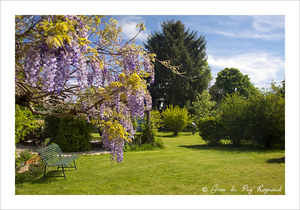 Le jardin du gîte Fougères