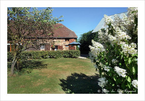 Le jardin du gîte Campanules en Corrèze