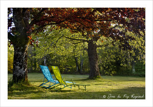 Se reposer sous les arbres des gîtes du Puy Raynaud en Corrèze