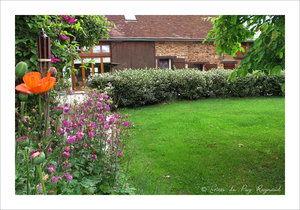 Jardin du gîte Campanules