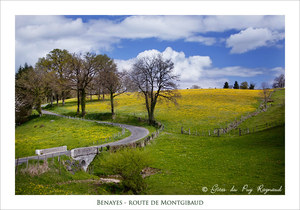 Route de Montgibaud près des gîtes du Puy Raynaud en Corrèze